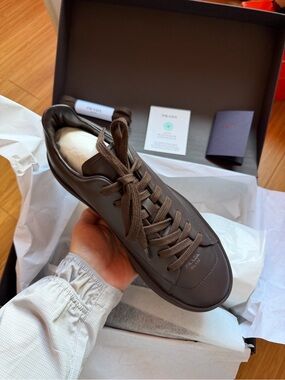 BRAND NEW Prada Dark Brown Leather Low-Top Court Sneaker